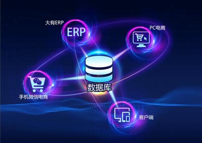 電子商務與互聯(lián)網(wǎng)數(shù)據(jù)服務 數(shù)字化商業(yè)新動力